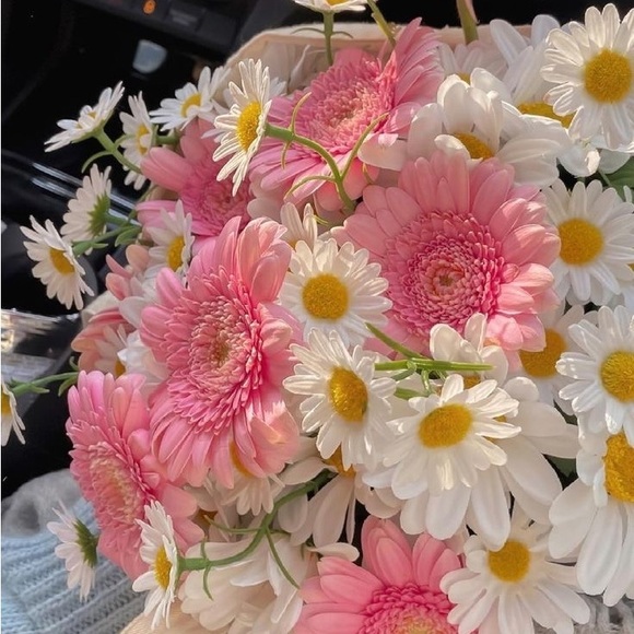 Meet your Posher, Pilar - Picture 1 of 1